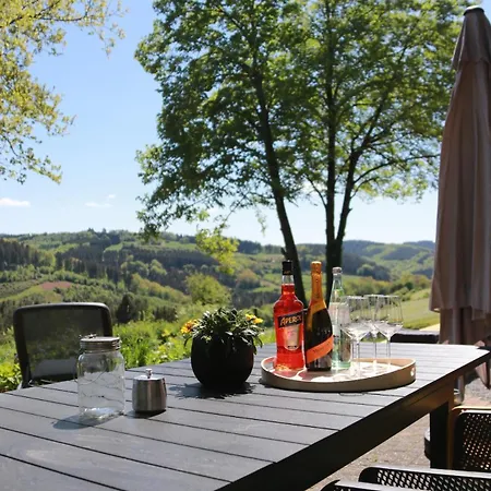 Talblick9 - Architect's House In An Exclusive Location Villa Gerolstein